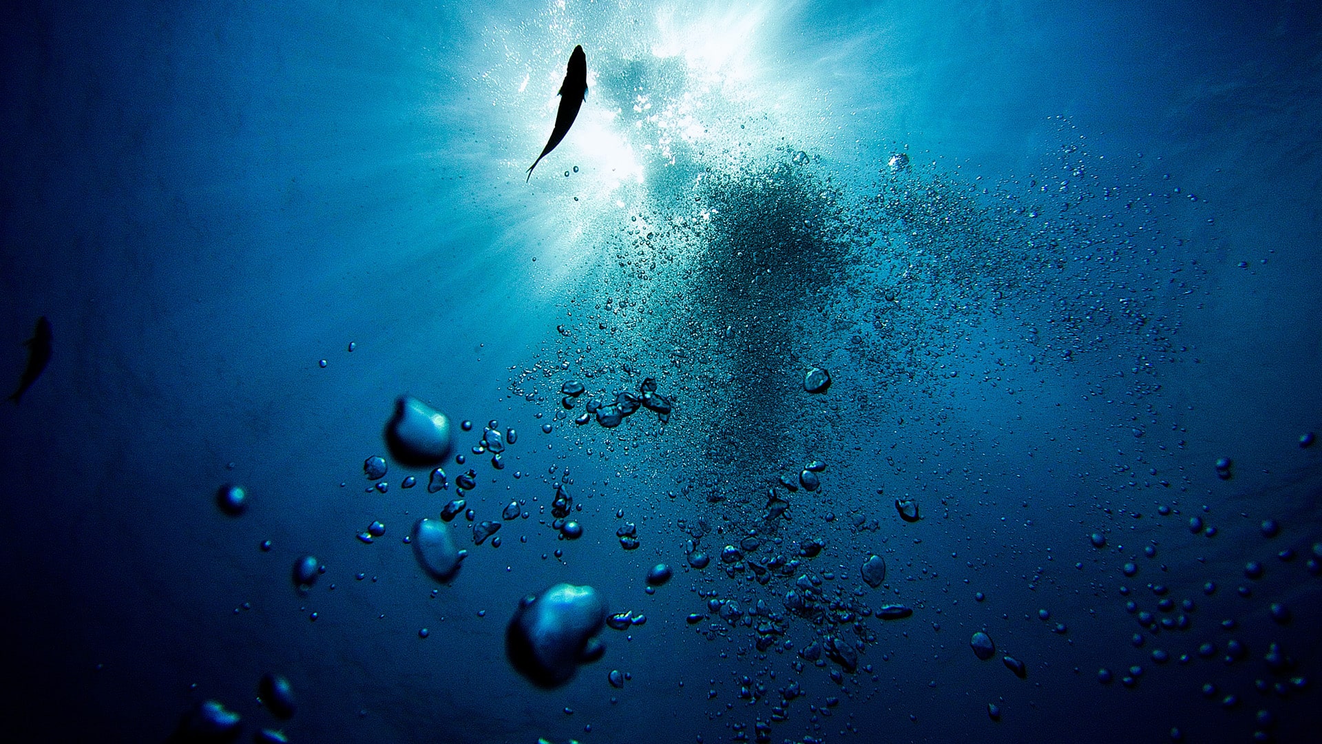 Underwater looking up