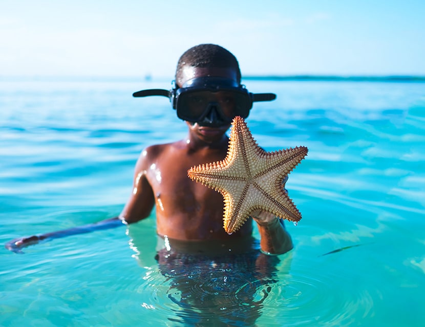 Young boy wearing swim mask holding starfish